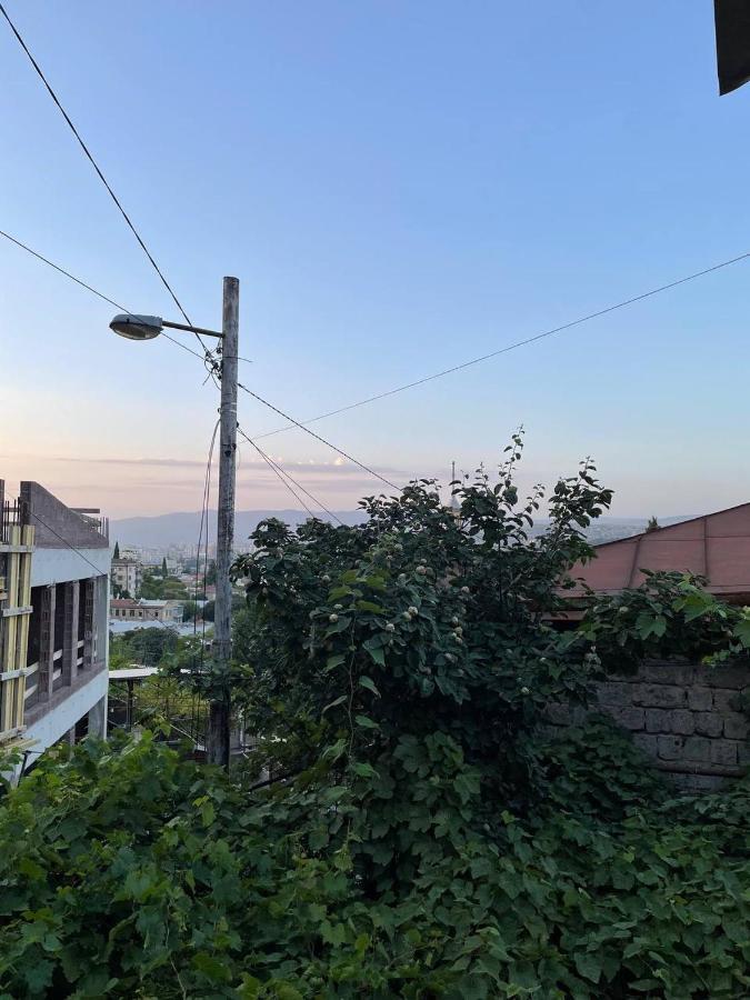 Guest House Zemeli Tbilisi Exterior foto